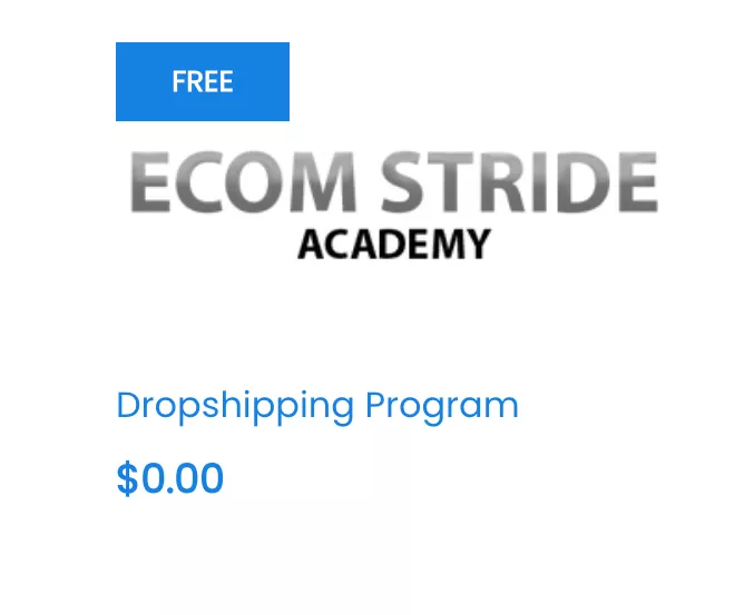 How Much Does Ecom Stride Academy Cost