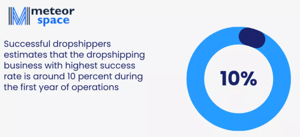 percentage of successful dropshipping businesses after one year